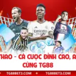 UG Thể Thao - Cá Cược Đỉnh Cao, An Toàn Cùng TG88